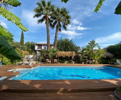 Bellos exteriores con piscina al aire libre rodeada de vegetación y mobiliario en este hotel solo para adultos.