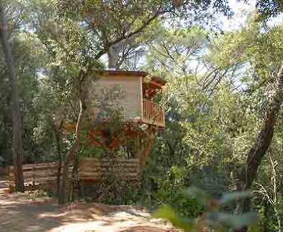 Cabaña Cep con puente de madera ubicada en pleno bosque.