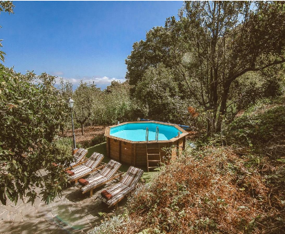 Hermosa piscina situada en pleno jardín de la Villa Cloty en Vega de San Mateo
