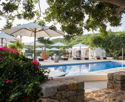 Agradable zona exterior con piscina y mobiliario rodeada de vegetación de este hotel rural.