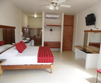 Foto de una de las habitaciones de este hotel solo para adultos.