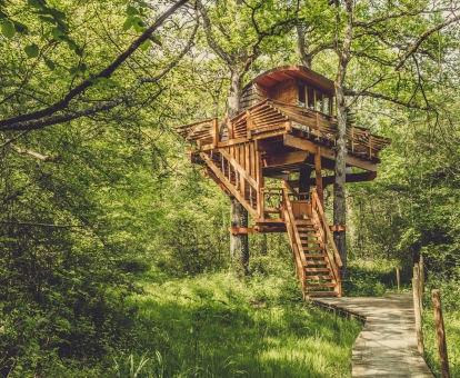 Suite Triku de este maravilloso alojamiento de cabañas en los árboles