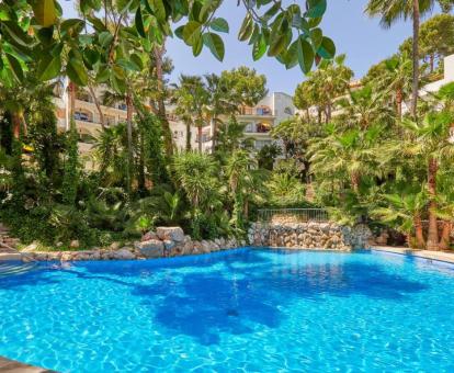 Foto de una de las piscinas al aire libre disponibles todo el año del hotel.