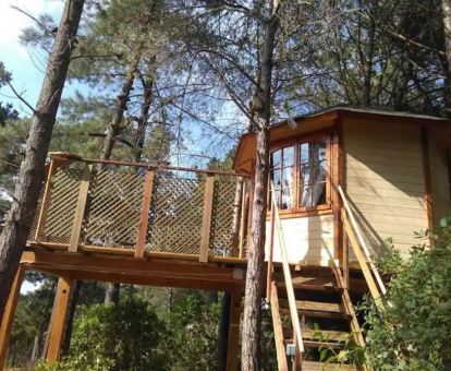 Maravillosa cabaña de madera entre pinos ideal para parejas.