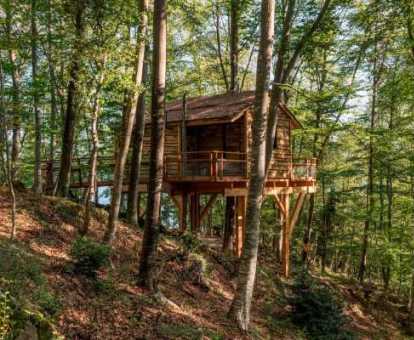 Cabaña Puigsaleres de este maravilloso alojamiento en el bosque