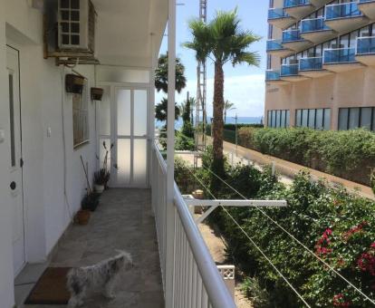 Foto de las instalaciones de este hotel con vistas al mar.