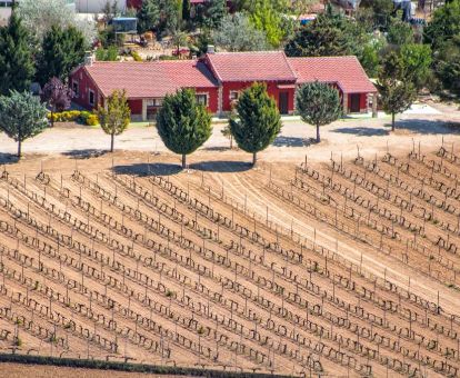 Establecimiento de casas rurales en un tranquilo entorno rodeado de viñedos.