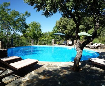 Agradable espacio exterior de este alojamiento en plena naturaleza con piscina al aire libre rodeada de vegetación.