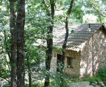 Una de las casas rústicas en medio de la naturaleza de este establecimiento rural.