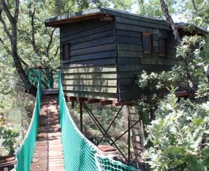 Cabaña Aventura situada en un árbol y con puente colgante.