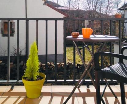 Foto de la acogedora terraza con vistas a la naturaleza de la casa.