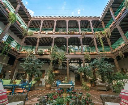 Patio interior con mobiliario y vegetación de este hotel solo para adultos.