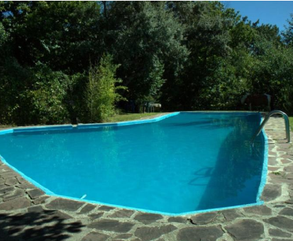 Enorme piscina al aire libre rodeada por grandes plantas. Casa Rural Arbillas Arenas de San Pedro