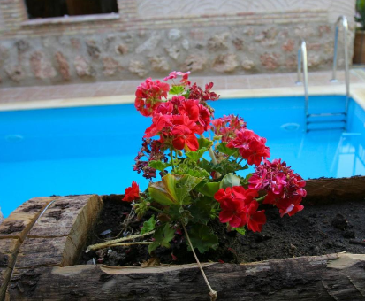 Piscina exterior de la Casa Rural Capricho del Valle en Arroyo Frio