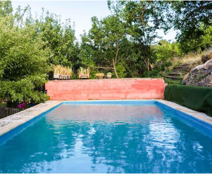 Piscina rectangular al aire libre cercada por una gran diversidad de vegetación