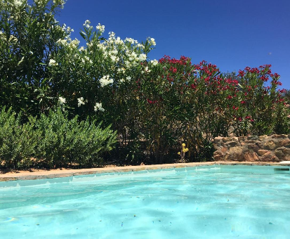 Piscina al aire libre cercada con hermosas flores silvestres. Casa Rural La Alcornocosa en El Castillo de las Guardas