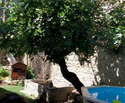 Piscina exterior situada en pleno vergel de la Casa Rural La Chocolateria en Horche