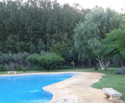 Piscina al intemperie localizada en el centro de la floresta de la Casa Cuevas La Chumbera en Benalúa de Guadix