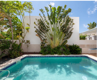 Piscina rectangular exterior rodeada de hermosas plantas de la Villa de la Marina en Playa Blanca