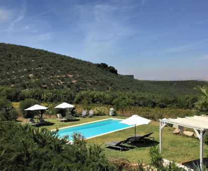 Piscina exterior rectangular con hermosa vista hacia el valle de Montellano. Hacienda la Morena