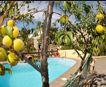 Piscina exterior familiar rodeada por hermosos arboles frutales Casa Rural La Venta en Granadilla de Abona