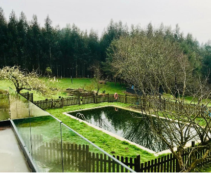 Piscina exterior rectangular con hermosa vista al bosque de la Casa Lugar de Pascuais en Lugo
