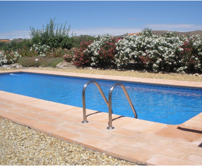 Piscina rectangular exterior rodeada de hermosas flores Casa Rural Mas Solana en Santa María de Nieva