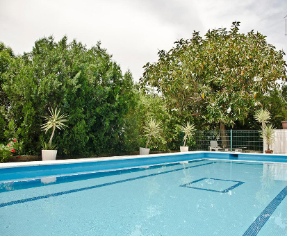 Piscina semi olímpica situada en la parte exterior de la Casa Rural Mirador del Sol en Villalba del Alcor