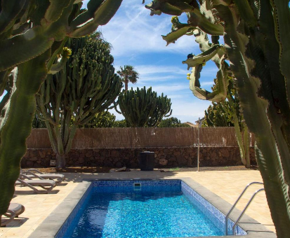 Piscina exterior rodeada de hermosos cactus. Villa Oasis Casa Vieja en La Oliva