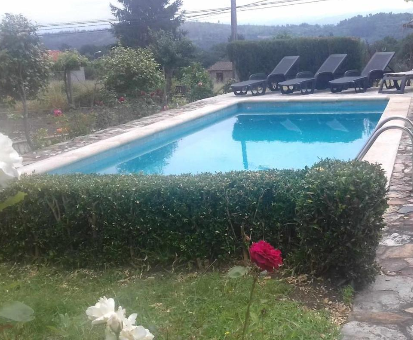 Piscina al aire libre situada cerca de la floresta en la Villa Pantón Ribeira Follés