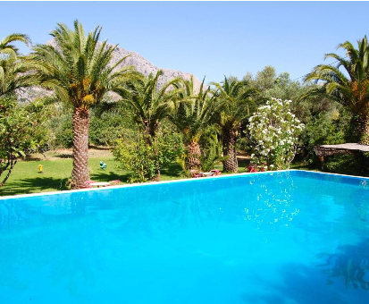 Fabulosa piscina exterior rodeada de hermosas palmeras y otra variedad de plantas. Cortijo Pulgarín Bajo en Alfarnatejo