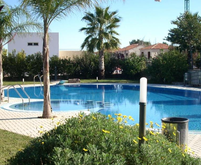 Amplia piscina exterior familiar rodeada de hermosas florestas en la Holiday home Residencial Farinos La Presa