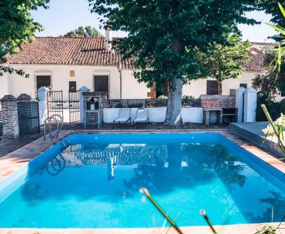 Piscina al intemperie rodeada por hermosas plantas de la Casa Lagar de Viña Vieja en Cazalla de la Sierra
