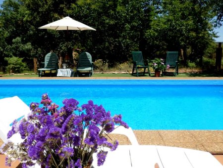 Piscina rectangular al aire libre ubicada en el jardín de la Finca la Viriñuela en Galaroza