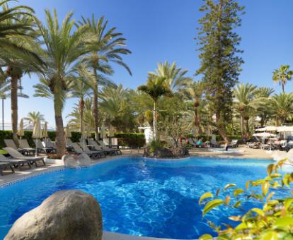 Foto de la acogedora piscina del hotel con elementos naturales.