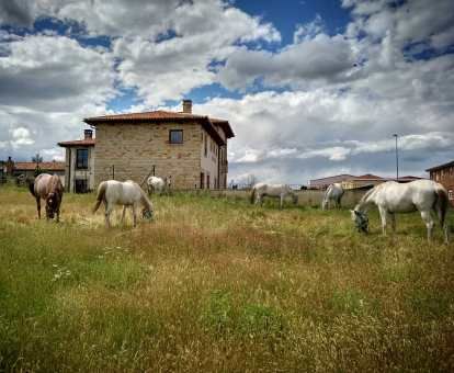 Edificio de este hermoso hotel solo para adultos en un tranquilo entorno rural con caballos pastando en libertad.