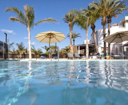 Foto de la piscina al aire libre disponible todo el año de este hotel boutique.