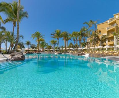 Foto de la piscina al aire libre disponible todo el año y rodeada de jardines de este hotel.