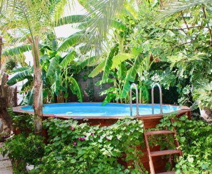 Foto de la piscina privada rodeada de jardín de esta acogedora casa.
