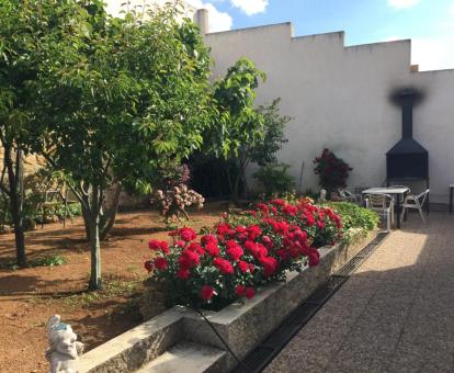 Foto de la zona exterior privada con tumbonas y barbacoa de la casa.