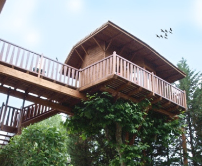 Maravillosa casa de madera en un árbol de este hotel rural.