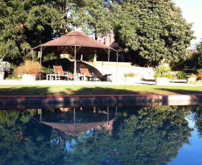 Foto de la piscina rodeada de naturaleza del alojamiento.
