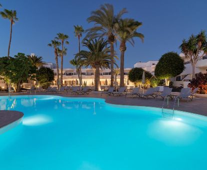 Zona exterior con piscina y solarium con tumbonas y palmeras de este hotel solo para adultos.