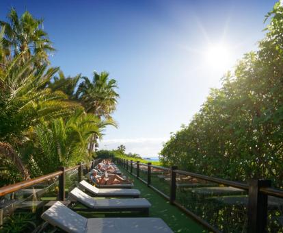 Foto de uno de los solariums de este hotel rodeado de fabulosos jardines de estilo tropical.