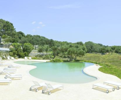 Foto de la piscina tipo laguna del hotel rodeada de naturaleza.