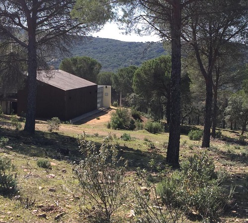 Vista de la casa rural Casa Rurales Cijara desde el pinar que se encuentra cerca de la casa