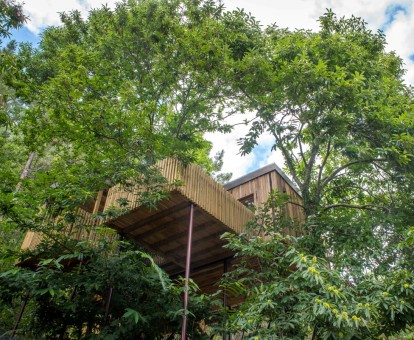 Una de las preciosas cabañas en los árboles con pasarela de acceso y jacuzzi privado.