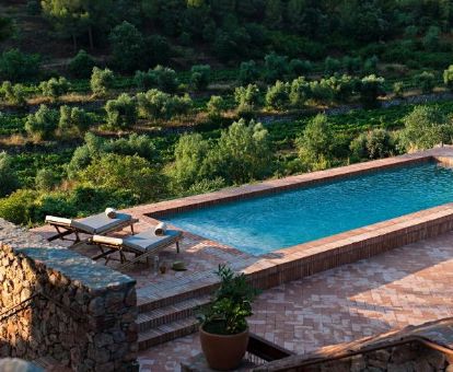 Piscina con solarium y vistas a la naturaleza que rodea el hotel.