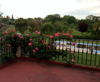 Foto de las vistas al jardín y la piscina desde la terraza