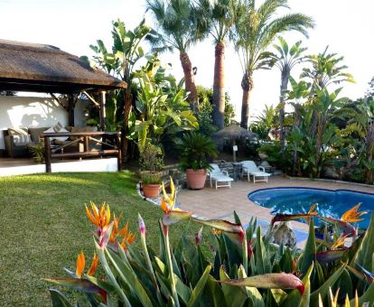 Agradable zona exterior con jardín y piscina rodeada de vegetación de este hotel acogedor.